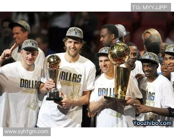 2011年NBA总决赛公牛对热火精彩录像回顾与分析