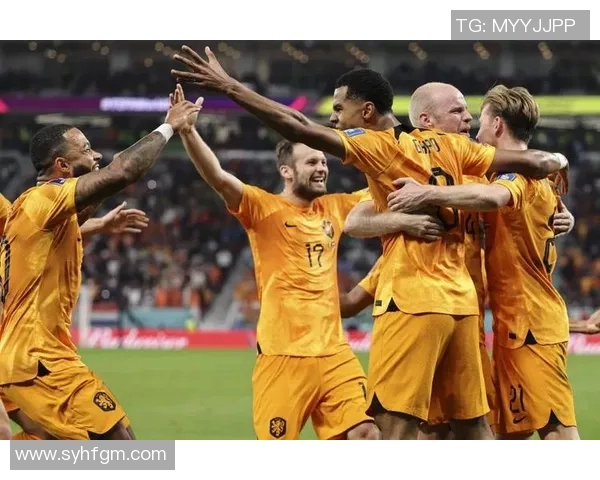 2012年欧洲杯精彩回顾丹麦与荷兰激战集锦全场精彩瞬间重温