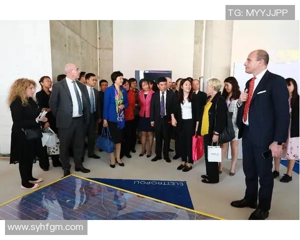 智力大学与意大利人之间的文化碰撞与智慧较量探讨