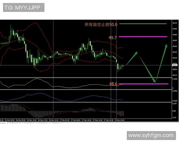 澳大利亚与新西兰精彩对决直播全程回顾与分析